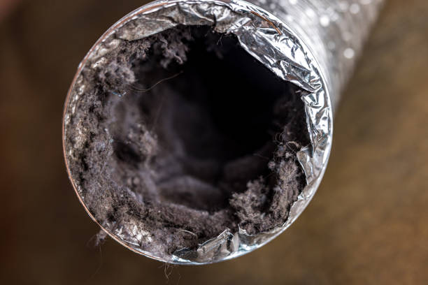 Best Best Air Duct Cleaning Company  in Capitol Heights, MD