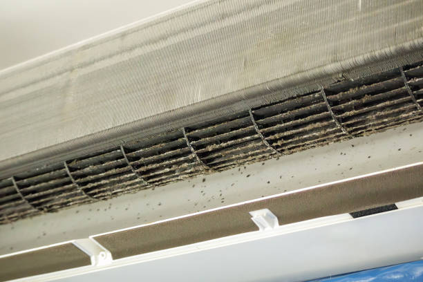 Best Commercial Air Duct Cleaning  in Capitol Heights, MD